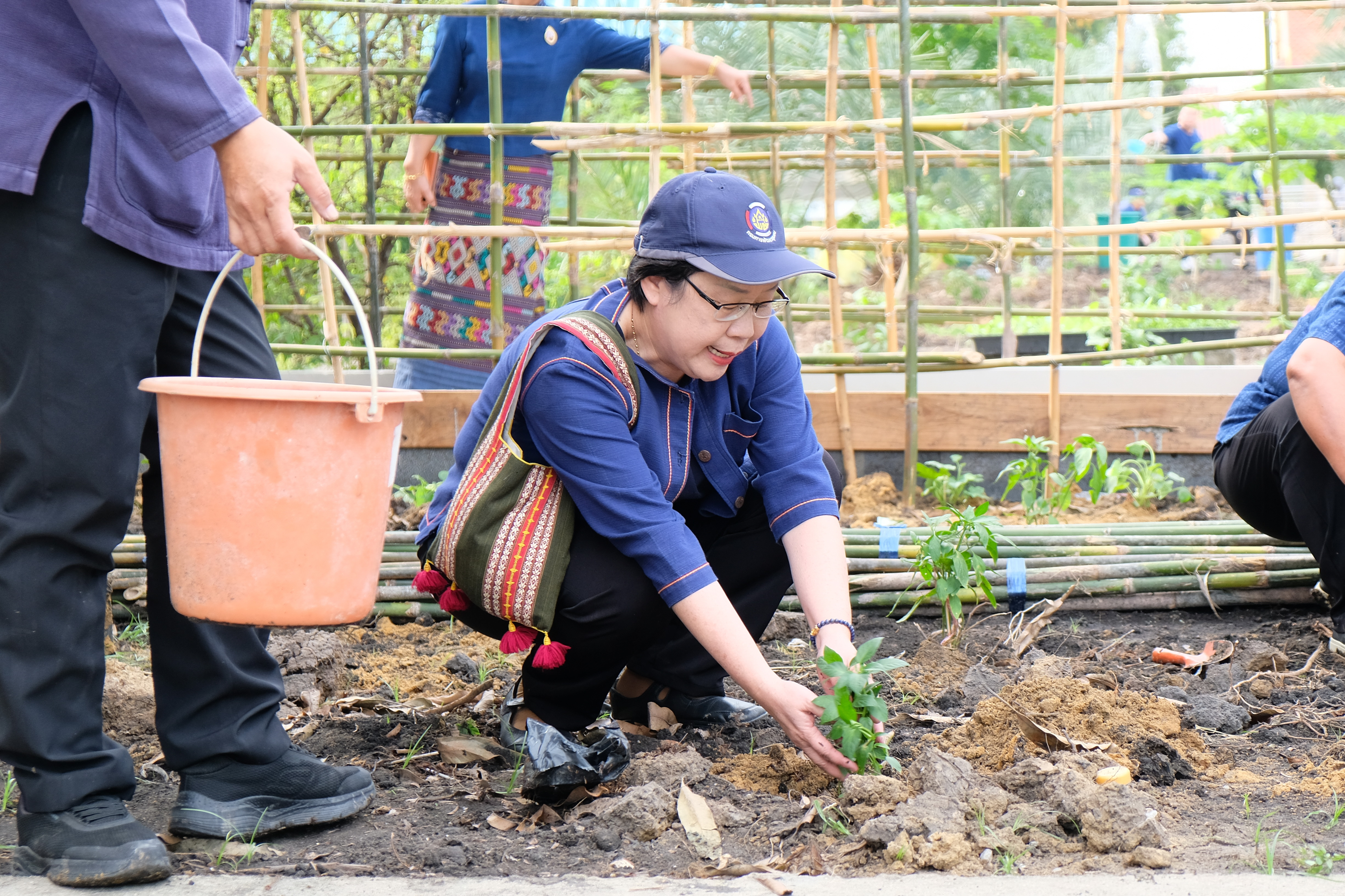 พช.ปทุมธานี “ผู้ตรวจฯ ทัศนีย์ ชัยคุณแสง เป็นประธานเปิดกิจกรรมปลูกผักสวนครัวเพื่อสร้างความมั่นคงทางอาหารในศาสนสถาน สร้างแหล่งเรียนรู้ในการปลูกผักสวนครัวอย่างยั่งยืน”