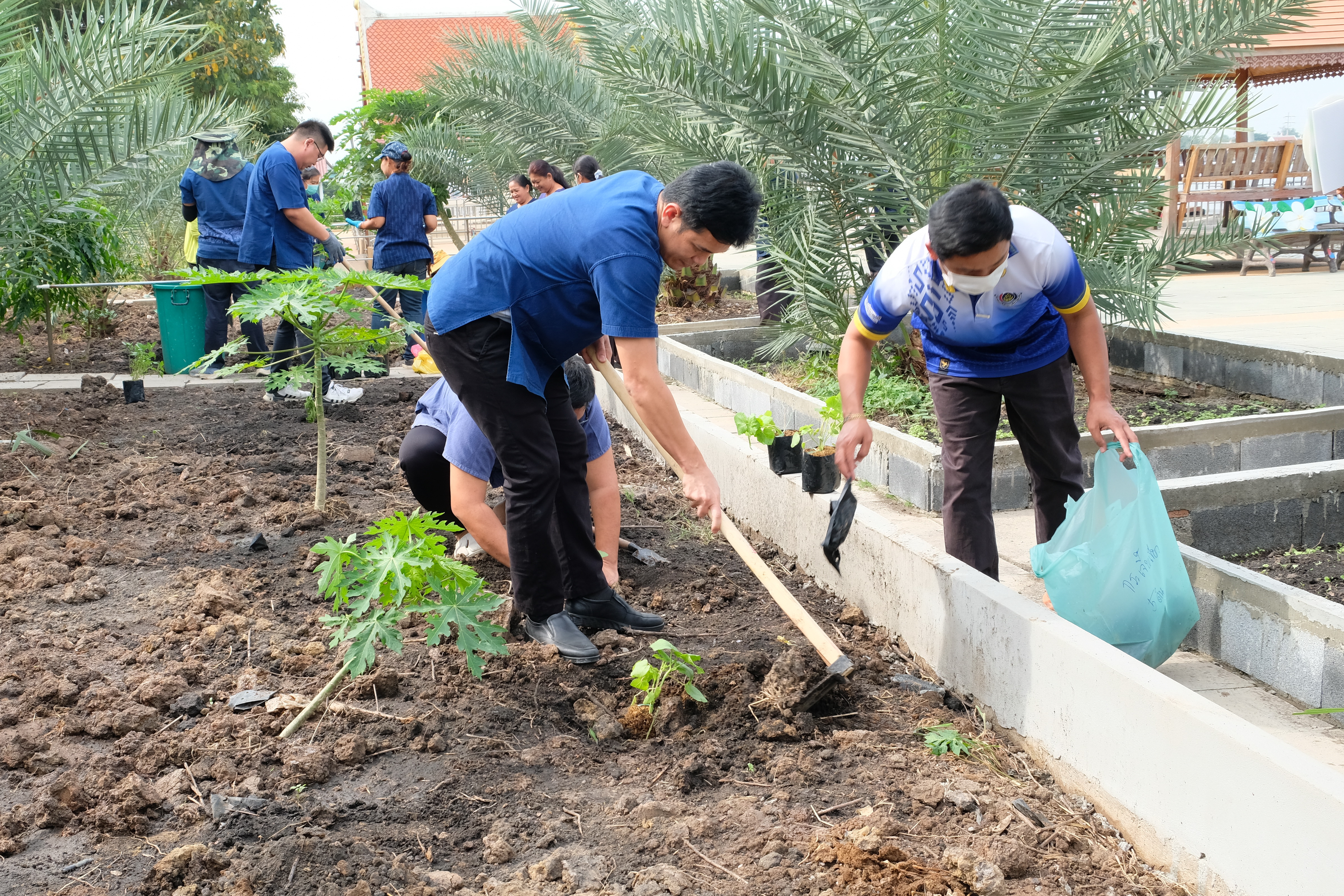 พช.ปทุมธานี “ผู้ตรวจฯ ทัศนีย์ ชัยคุณแสง เป็นประธานเปิดกิจกรรมปลูกผักสวนครัวเพื่อสร้างความมั่นคงทางอาหารในศาสนสถาน สร้างแหล่งเรียนรู้ในการปลูกผักสวนครัวอย่างยั่งยืน”