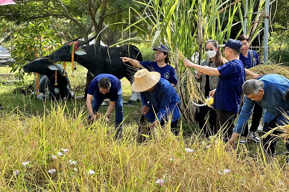 พช.ปทุมธานี “ประกาศเจตนารมณ์ ส่งเสริมอนุรักษ์ และฟื้นฟูทรัพยากรดิน เนื่องในโอกาส วันดินโลก ปี ๒๕๖๖ ภายใต้กิจกรรม “Soil and Water : a source of life” หรือ “ดินดี น้ำสมบูรณ์ เกื้อกูลชีวิต”