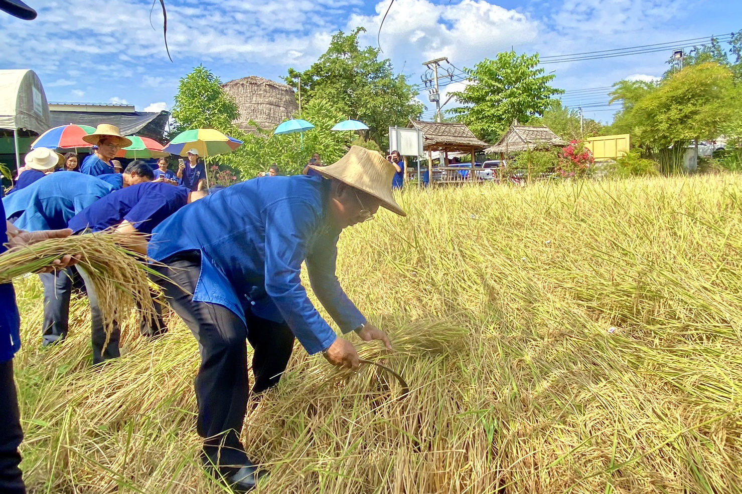 พช.ปทุมธานี “ประกาศเจตนารมณ์ ส่งเสริมอนุรักษ์ และฟื้นฟูทรัพยากรดิน เนื่องในโอกาส วันดินโลก ปี ๒๕๖๖ ภายใต้กิจกรรม “Soil and Water : a source of life” หรือ “ดินดี น้ำสมบูรณ์ เกื้อกูลชีวิต”