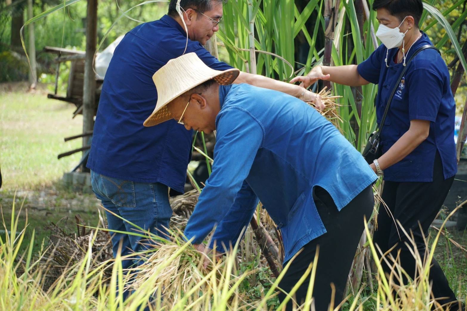 พช.ปทุมธานี “ประกาศเจตนารมณ์ ส่งเสริมอนุรักษ์ และฟื้นฟูทรัพยากรดิน เนื่องในโอกาส วันดินโลก ปี ๒๕๖๖ ภายใต้กิจกรรม “Soil and Water : a source of life” หรือ “ดินดี น้ำสมบูรณ์ เกื้อกูลชีวิต”