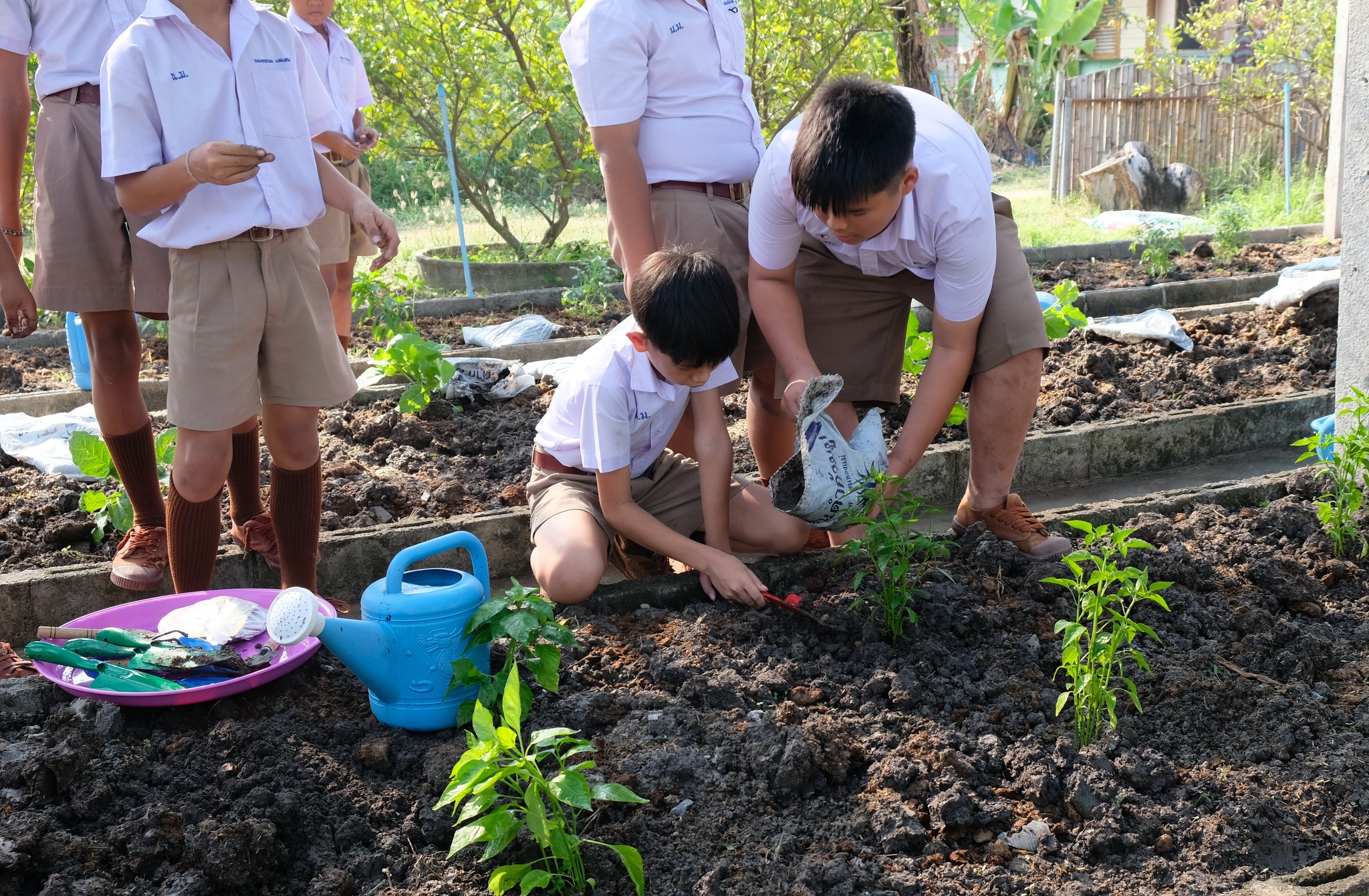 ประธานแม่บ้านมหาดไทยปทุมธานี สร้างความมั่นคงทางอาหารอย่างต่อเนื่อง ภายใต้แนวคิด “ผู้นำต้องทำก่อน” ใช้พลัง “บวร” พัฒนาโรงเรียนและศาสนสถานเป็นต้นแบบแหล่งเรียนรู้ในการปลูกผักสวนครัว