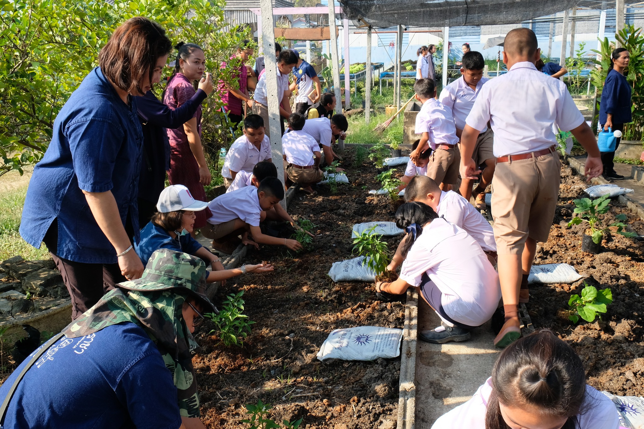 ประธานแม่บ้านมหาดไทยปทุมธานี สร้างความมั่นคงทางอาหารอย่างต่อเนื่อง ภายใต้แนวคิด “ผู้นำต้องทำก่อน” ใช้พลัง “บวร” พัฒนาโรงเรียนและศาสนสถานเป็นต้นแบบแหล่งเรียนรู้ในการปลูกผักสวนครัว