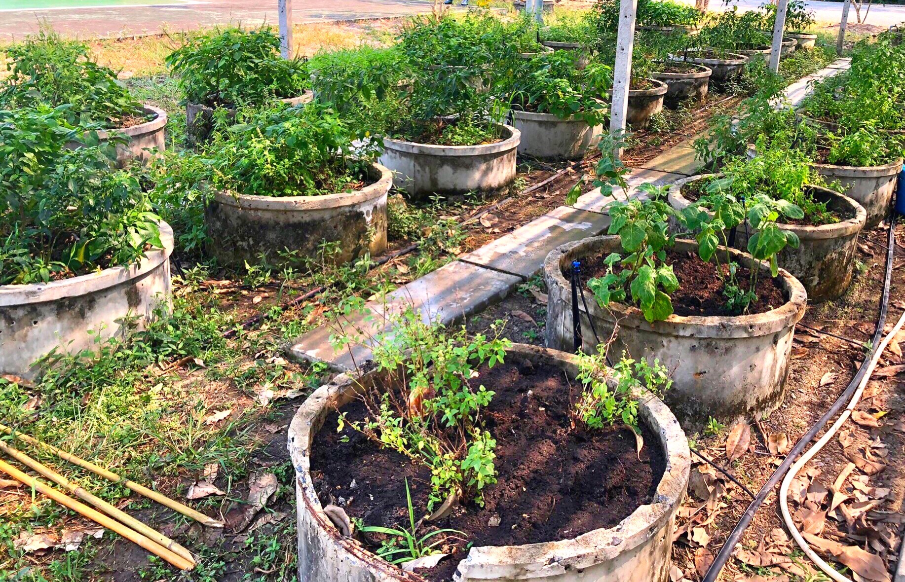 สพจ.ปทุมธานี ลงพื้นที่ติดตามและสนับสนุนการดำเนินงานสารสนเทศตำบลต้นแบบเพื่อการพัฒนาคุณภาพชีวิต ตำบลบึงบา อำเภอหนองเสือ จังหวัดปทุมธานี