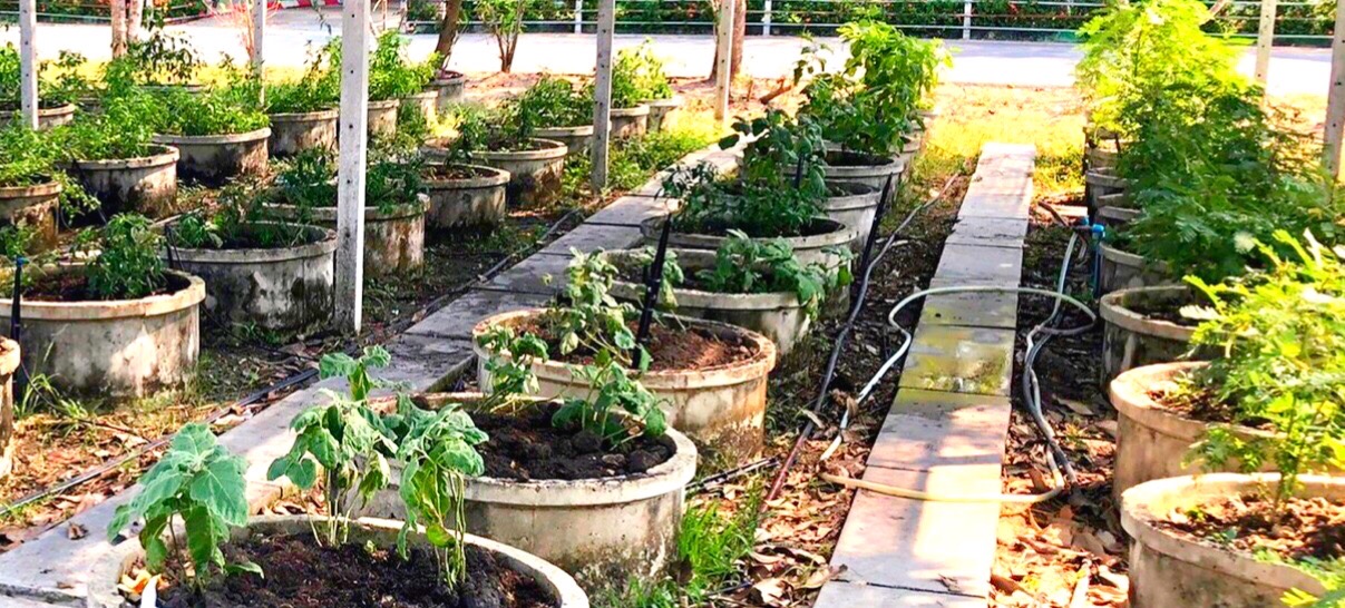 สพจ.ปทุมธานี ลงพื้นที่ติดตามและสนับสนุนการดำเนินงานสารสนเทศตำบลต้นแบบเพื่อการพัฒนาคุณภาพชีวิต ตำบลบึงบา อำเภอหนองเสือ จังหวัดปทุมธานี