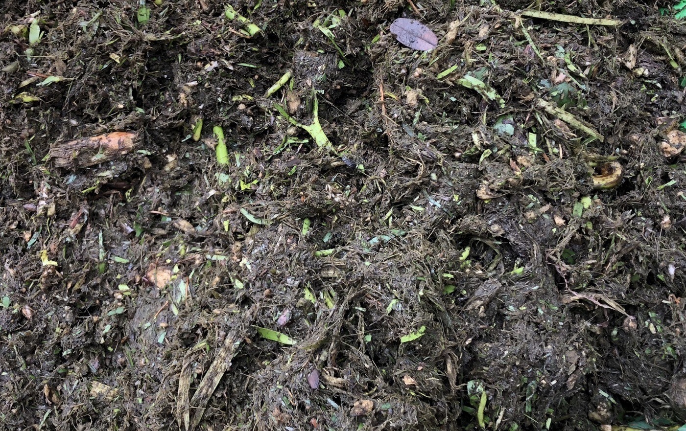 สพจ.ปทุมธานี ลงพื้นที่ติดตามและสนับสนุนการดำเนินงานโครงการสารสนเทศตำบลต้นแบบเพื่อการพัฒนาคุณภาพชีวิตของประชาชน ตำบลคลองควาย อำเภอสามโคก จังหวัดปทุมธานี