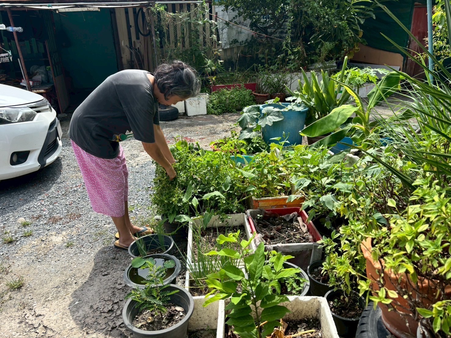 สพจ.ปทุมธานี ลงพื้นที่ติดตามและสนับสนุนการดำเนินงานโครงการสารสนเทศตำบลต้นแบบเพื่อการพัฒนาคุณภาพชีวิตของประชาชน ตำบลคลองควาย อำเภอสามโคก จังหวัดปทุมธานี